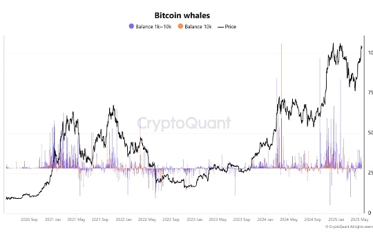 現貨比特幣ETF流入量下降 但BTC鯨魚活動預示牛市加速