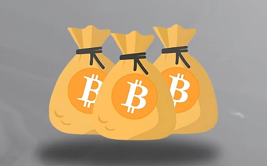 盤點值得關注的加密金庫公司 爲何爲資產負債表买加密資產